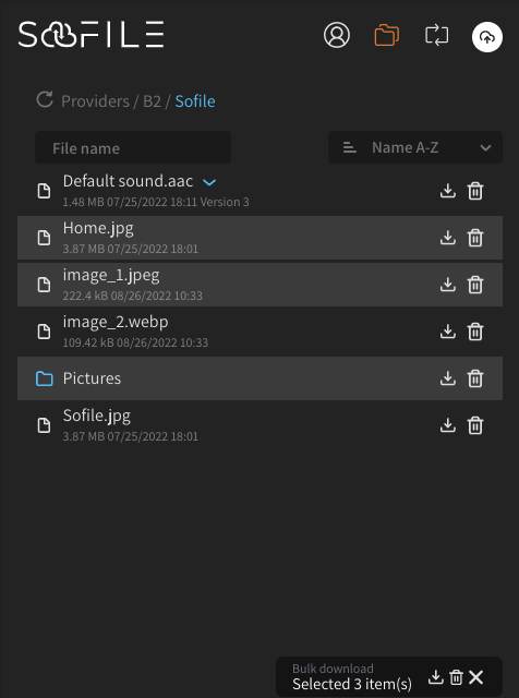 Sofile bulk download feature