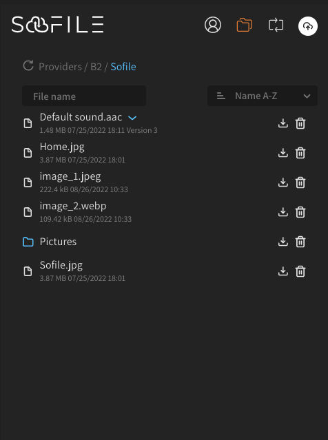 Sofile file system and download page