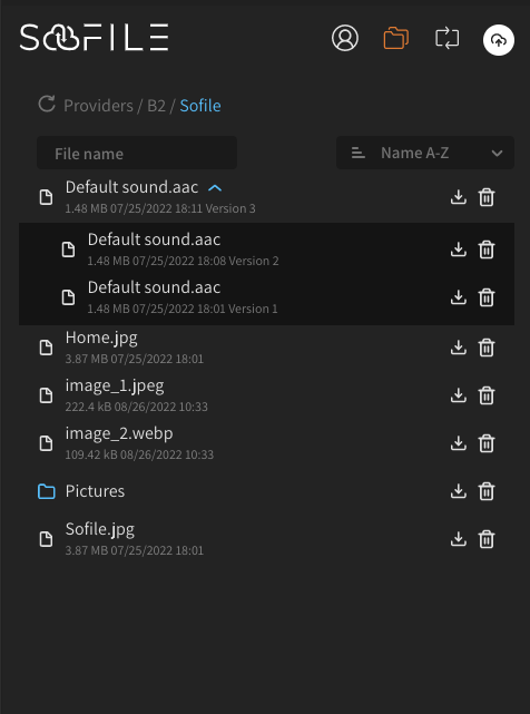 Sofile file system with file versioning