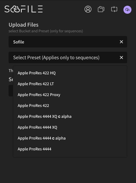 Encode presets